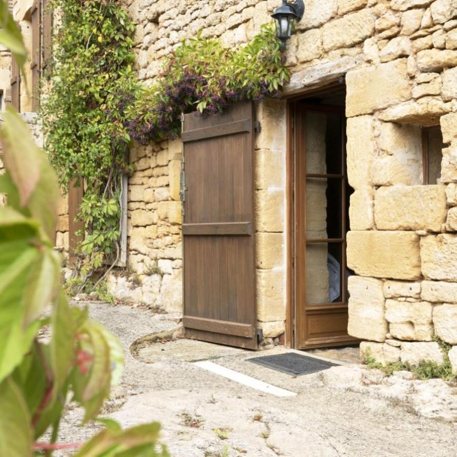 Domaine De Cantegrel - Gites De Charme Et Suite Troglodyte En Perigord Витрак Экстерьер фото